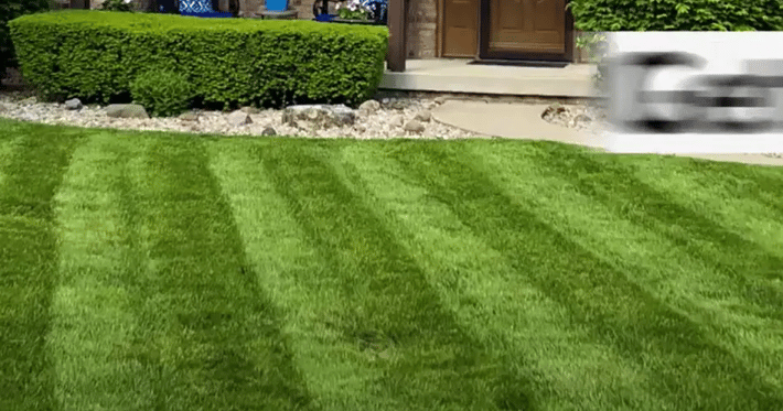 Lawn Pride